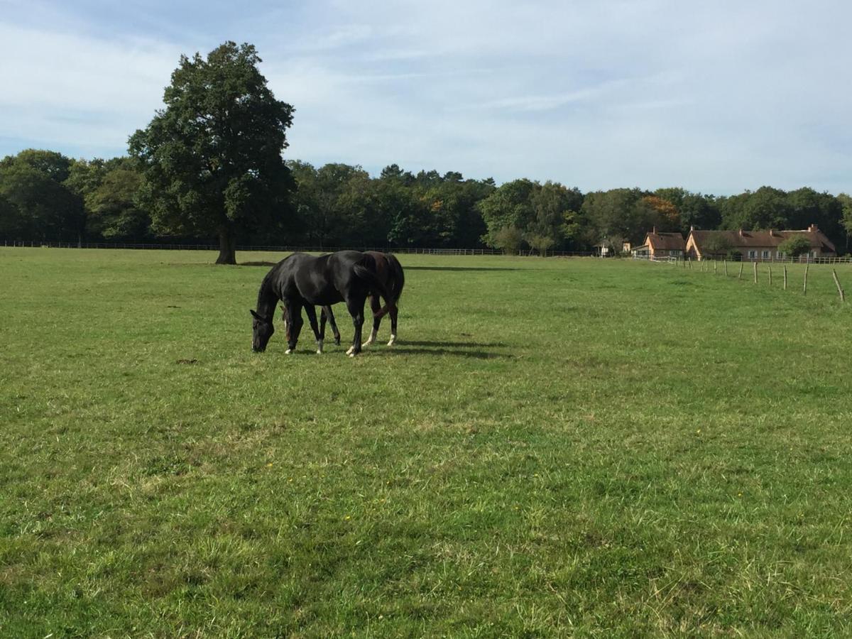 Haras Du Vignault Le Bucher Salbris Exterior foto